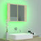 Tidyard Armoire de Salle de Bain à Miroir à LED,Meuble Miroir Salle de Bain,armoires murales Meuble Salle de Bain Miroir Mural Armoire de Toilettes avec lavabo Chêne Sonoma 60x12x45cm