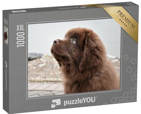 Puzzle 1000 Teile XXL „Brauner Neufundländer-Welpe mit treuherzigem Blick“ – aus der Puzzle-Kollektion Hunde, Neufundländer