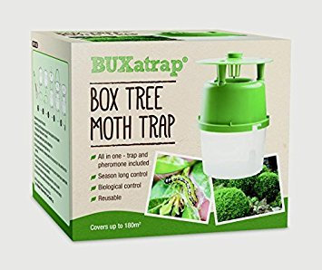 BUXaTrap Box Tree Moth Trap by Bayer