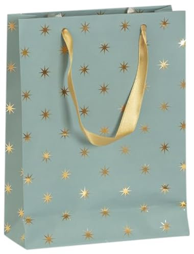 Clairefontaine 212893Cpack - Packung 5 Geschenktasche - Tüte , Format M (17x6x22 cm), Kollektion Weihnachten Wald, 170g, geeignet für Geschenke, Rentier - Grün - Gold - Weiß, 1 Pack