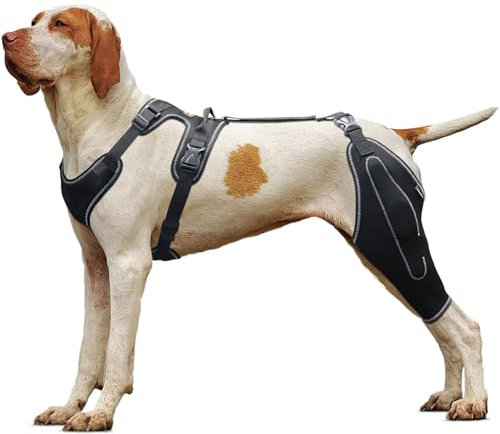 UPGEQMDK Kniebandage für Hunde, Recovery Sleeve Hund, Hunde-Hinterbein-Bandage, Hunde-ACL-Klammer Hinterbein, für Schützt Wunden und Hilft bei Gelenkentzündung und Arthritis (L)