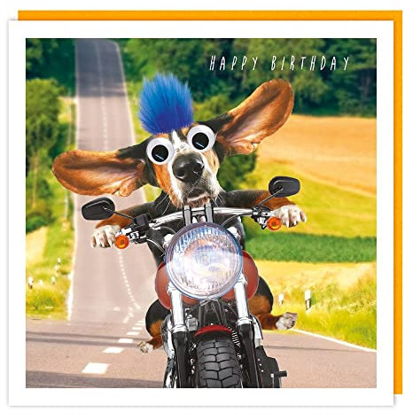 „Happy Birthday“: Hund mit Flaum und Wackelaugen Doppelkarte mit Umschlag Gr: 15,8x15,8cm