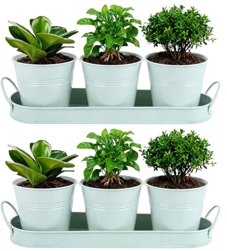APACALI Lot de 2 pots à herbes aromatiques en métal pour rebord de fenêtre de cuisine, pot à herbes d'intérieur avec plateau à poignée et trou de drainage, jardinières pour rebord de fenêtre pour
