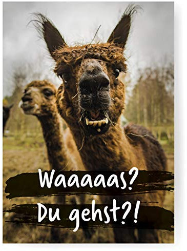 Sophies Kartenwelt Lustige Abschiedskarte im DIN A4 Format mit Umschlag “Alpaka” - XXL Klappkarte mit viel Platz für Kollegen zur Rente, zum Jobwechsel oder zum Mutterschutz
