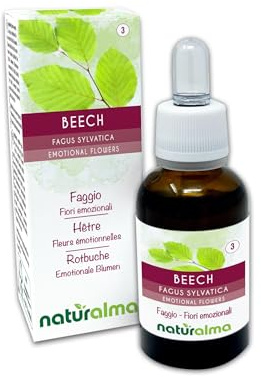 Beech oder Rotbuche (Fagus sylvatica) Emotionale Blumen oder Bach-Blüten Naturalma - Tropfen 30 ml - Alkoholfreier Flüssigextrakt - Blütenessenzen - Vegan