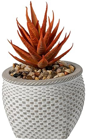 Artificial Succulents Potted Small Plants Fake Decorative in Cement Pot Rattan Look Faux Decorative Succulent Plant for Table Desk Office Home Houseplant Garden Kitchen Décor Gift (Grey)