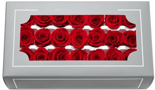 FORTTS Konservierter Rosenkopf der Güteklasse A, 2–3 cm, hochwertige, natürliche, ewige echte Rosen, unsterbliche Rose, hält 3 bis 5 Jahre, für Mütter, Valentinstag, Geburtstage, Geschenke, Hochzeit