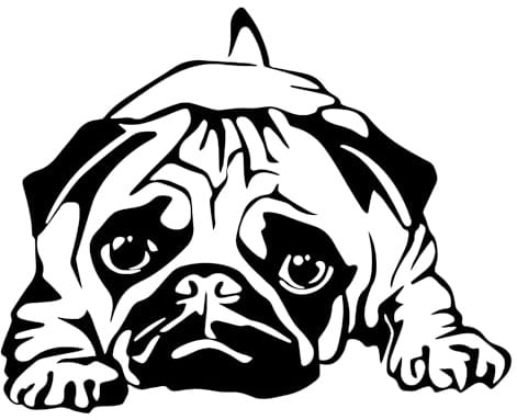 Mops Autoaufkleber, Reflektierend Wasserdicht PVC, Schwarz, Lustige Haustier Hund Aufkleber für Autos Laptops Kühlschränke Möbel Dekoration ((18cm/7.09inch))