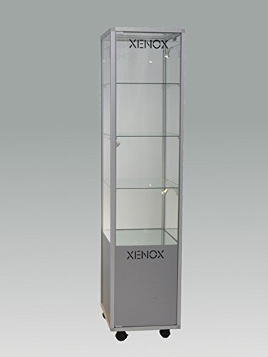 MHN Glasvitrine ca. 180 cm hoch - abschließbare Vitrine mit Aufbewahrungsfach - schmale Präsentationsvitrine 40 x 40 cm unbeleuchtet - mit Spiegelrückwand