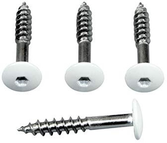 SN-TEC Fassadenschrauben Rostfrei Edelstahl V4A 5,5x35 mm, weiß Pulverbeschichtet RAL 9010 mit Torx T20 Aufnahme (Mengenauswahl möglich 10|25|50|100|500)) (50)