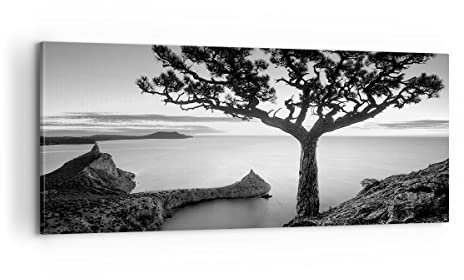 Moderne Impression sur Toile 100x40cm Image Tableau Decoration Murale Arbre Noir Et Blanc Vue Grand Tableaux Decoratifs Muraux Chambre Panoramique Deco Cadre Décoration Salon Art Wall AB100x40-4297