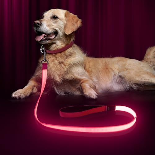 Bpawser LED-Hundeleine, beleuchtete Hundeleine, Micro-USB, wiederaufladbar, Nylon-Gurtband, leuchtet Sicherheitsstandard-Hundeleine für Hunde, 120 cm, Rosa
