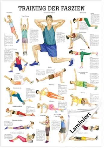 Mini-Poster Training der Faszien, LxB 34x24 cm
