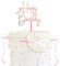 20 Stück Tortendeko Schleifen, Rosa Schleife Torten Deko mit 1PC Happy Birthday Acryl Cake Topper, Kuchendeko Schleife für Hochzeit, Brautparty, Geburtstag, Gedenktag, Valentinstag