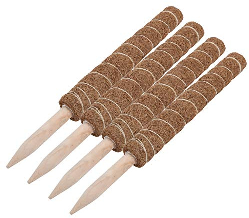 Acouto Moosstange für Pflanzen Im Innenbereich, Stützstab aus Kokosfaser, 45 cm Verlängerung für Kletterpflanzen Wie Monstera und Weinreben