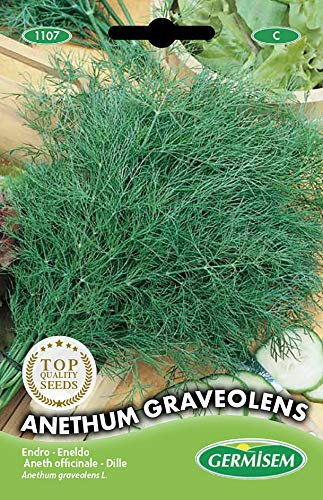 Germisem Anethum Graveolens Semi di Aneto 4 g
