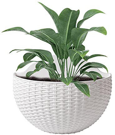 Pots de fleurs suspendus d'extérieur | Demi-cercle | Pot de fleurs à motif tissé avec trou de drainage et crochets | Support mural pour plantes