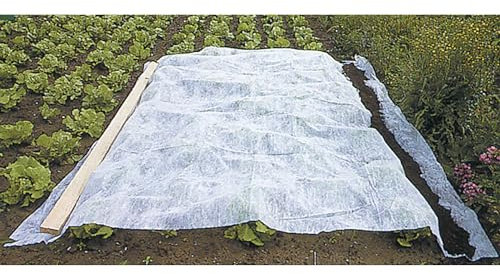 WerkaPro 10380 - Voile d'hivernage en rouleau - 2 x 5 m - 30 g/m2 - Blanc