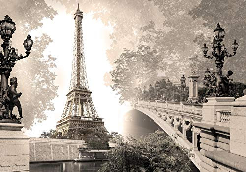 wandmotiv24 Photo murale Pont de la tour Eiffel Paris France XL 350 x 245 cm - 7 pièces photo, papier peint non tissé Paysage de ville vieux sépia M4671