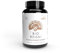 Pilze Wohlrab - Bio Reishi Extrakt Kapseln, 350 mg Reishi Extrakt je Kapsel, 1 Dose à 60 Kapseln, mit Vitamin C, Höchste Bio-Qualität, Nahrungsergänzungsmittel