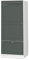 Vicco Armoire Micro-Ondes Fame-Line, Vert Or Campagne/Blanc, 60 cm