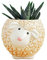 DIYOMR Niedlicher Tier-Keramik-Übertopf, kleiner Sukkulenten-Topf, Cartoon-Form, Pflanztopf für Mini-Pflanzen, Blumenkaktus, glatte, glänzende Keramik, Pflanzen nicht im Lieferumfang enthalten (Schaf)