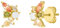NOELANI Ohrstecker 925 Sterling Silber Damen Ohrschmuck, mit Zirkonia synth., 0,8 cm, Gold, Kommt in Schmuck Geschenk Box, 2036054