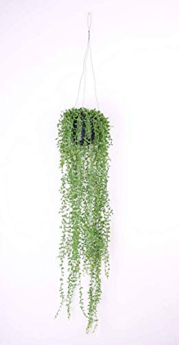 artplants.de Künstliche Blumenampel Cosima, Senecio, im Topf, grün, 70cm - Deko Hängepflanze - Kunst Pflanze
