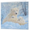3D LiveLife Grußkarte - Northern Family von Deluxebase. Niedliche Eisbär Lentikular 3D-Karte für jeden Anlass und jedes Alter. Originalvorlage lizenziert von der bekannten Künstlerin Beth Hoselton