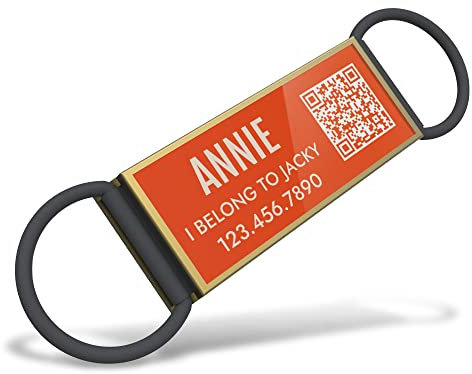 DISONTAG Personalisierter Hundemarke,Haustier ID Tag, Marke für Haustiere zum Aufschieben auf das Halsband, Pet ID Tags,benutzerdefinierter Text, eindeutige Informationsanzeige | änderbar
