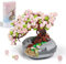 HIGH GODO Cherry Blossom Tree Plant Sets, Mini Botanical Collection & Flower Bouquet Building Kit Gift for Adults Teens 8+ Kids; Room Or Home Decor (426 Pieces) - No Compatible Classic Bricks