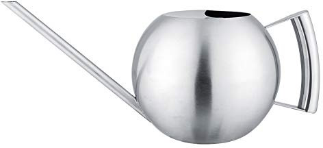 Long Spout Gießkanne, 33oz/1L Long Tout Edelstahl Gießkanne Zimmerpflanze Gießkanne für Zimmerpflanzen im Innen und Außenbereich (Silbrig)