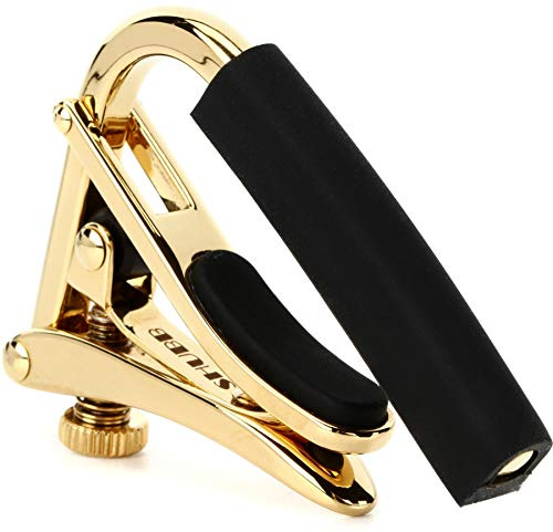 Shubb Capo Golden Radius 184 mm, SC4G