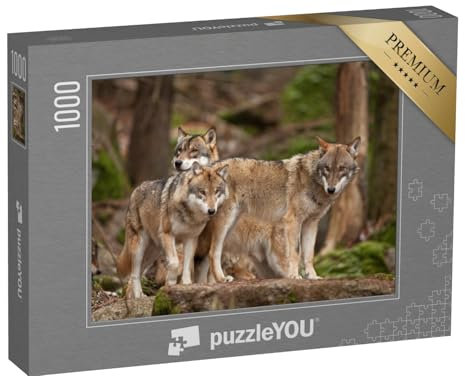 puzzleYOU: Puzzle 1000 Teile „Wolfsfamilie in ihrem natürlichen Lebensraum“ – aus der Puzzle-Kollektion Wölfe, Raubtiere, Tiere des Nordens, Tiere in Wald & Gebirge, Exotische Tiere & Trend-Tiere