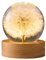Gotrain Kristallkugel-Nachtlicht, 6 cm Glaskugel, Nachtlampe, Standfuß, USB-betriebene LED-Lampe für Glaskugel (Löwenzahn)