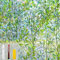 Countewol Sichtschutzfolie für Fenster, Fleckenglas, Regenbogenfarben, Fensterfolie, Fensterfolie, nicht klebend, wiederverwendbar, dekorativ für Zimmer (Blatt-Regenbogen, 59,9 x 199,9 cm)