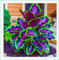 Hosta Pflanze Funkien Pflanze Winterhart Hosta zwiebeln Winterhart Mehrjährig Gartenblumen-6zwiebeln-c