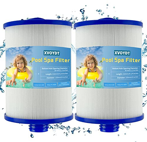 XVOYDT Filtri spa per vasca idromassaggio, filtro per vasca idromassaggio, filtro Pww50 per compatibile con filtro idromassaggio spa, ricambio per Unicel 6CH-940 (confezione da 2)