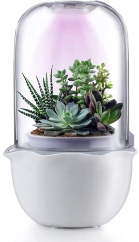 Ninfa Pot de Fleurs Intelligent pour Plantes Grasses et Petites Plantes - Avec Lumière de Culture, Minuterie et Ventilateur - Intérieur Avec Trou
