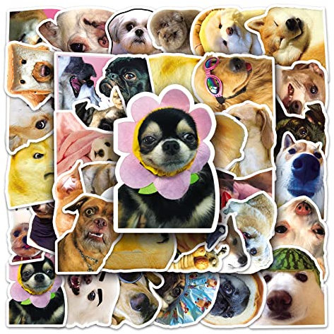 Bric Dodo 50 Stück Meme Hund Aufkleber Auto Laptop Telefon Gitarre Skateboard Motorrad Fahrrad Meme Dog Stickers Set Vinyl Wasserdicht Aesthetic Aufkleber für Jugendliche Kinder Erwachsene