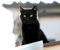 Puzzle 1000 Teile,Impossible Puzzle,Puzzle-Geschenk,-Katze, schwarz, Gesicht 70x50cm