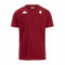 Kappa - Herren T-Shirt Aybat FC Metz 24/25 Granat, rot, XXL