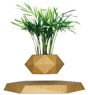 Pot de fleurs en lévitation en bois pour plantes grasses et cactus - Pot flottant magnétique pour décoration de maison et de bureau - Couleur marron