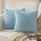 Mandioo 2er Set Hellblau superweichen dekorative Plüsch Kissenbezug Kissenbezüge 50 x 50 cm Wollsamt Dekokissenbezüge Kissenhülle Sofakissen Dekokissen flauschig für Couch Sofa Bett Wohnzimmer