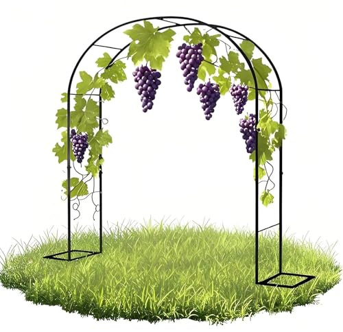 Rosenbogen Metall, Gartenbogen，Rankbogen für Kletterpflanzen, Stabil Metall Torbogen Rankhilfe 80cmx200cm/160cmx220cm/20cmx230cm/240cmx220cm/300cmx220cm Weiß/Schwarz/Grün Hochzeitsbogen Pergola(Black,