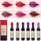 Nihexo 6 Colors Wine Lipstick Matte Long Lasting Waterproof Lip Tint Set Lip Gloss Lip Stain (6Color/Set)