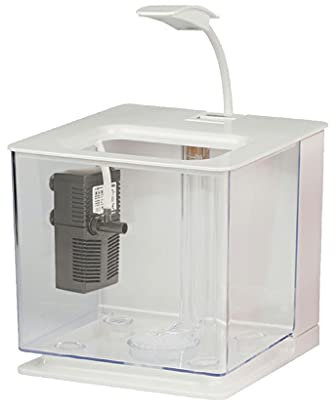 Acquario Acquario creativo da tavolo LED luminoso piccolo acquario da combattimento for pesci rossi senza pompa for filtro ornamentale for acquario con decorazione for il cambio dell'acqua Acquario pe