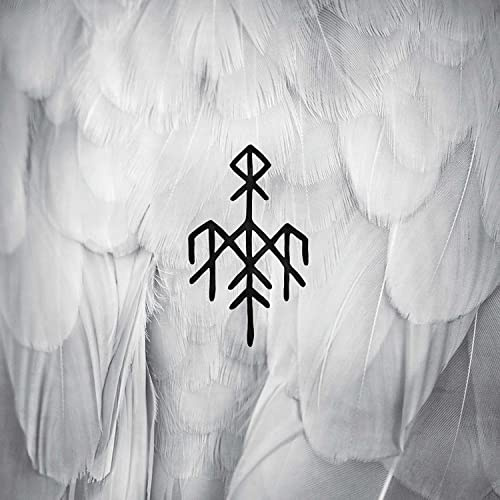 Kvitravn-First Flight of the White Raven