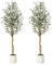 Litake Künstlich Olivenbaum 150cm mit Weißem Topf,Grün Pflanzen Groß Kunstpflanze Olivenbaum,Deko für Zuhause, Schlafzimmer, BüRo, Garten,Wohnzimmer (150cm -2Pack)