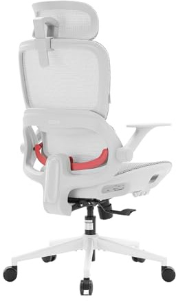 SIHOO B100-LITE Chaise de bureau ergonomique avec soutien lombaire – Appuie-tête 2D réglable et technologie de tête synchrone, fonction basculante, maille respirante – Chaise de bureau pivotante pour